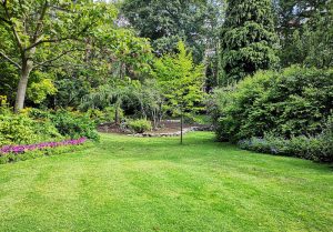 Optimiser l'expérience du jardin à Belfonds